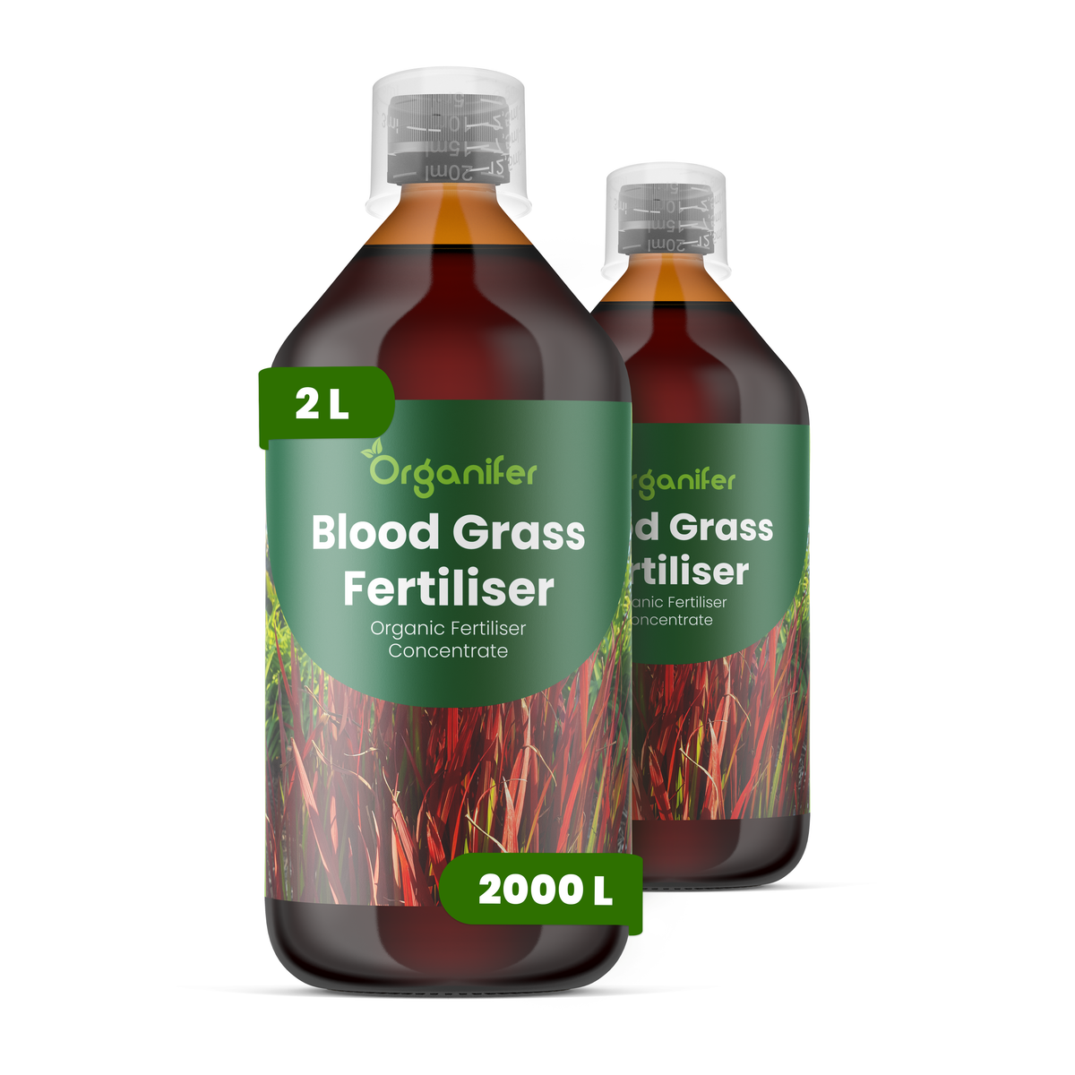 Organifer Blood Grass Liquid Fertiliser - 2x1 liter 8719958004443 1