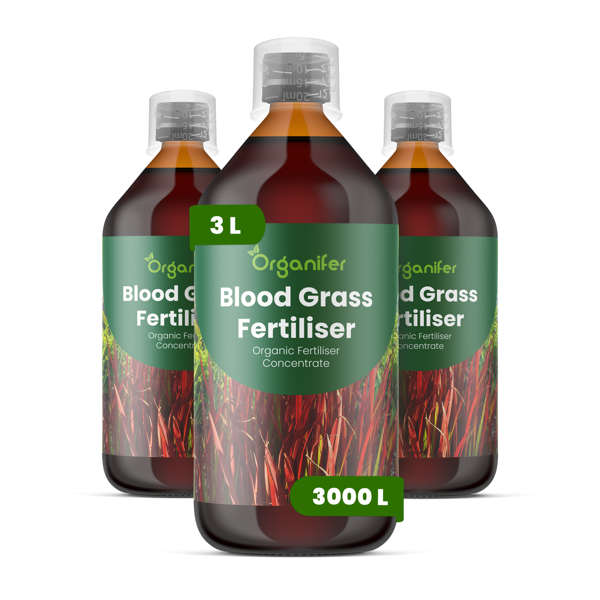 Organifer Blood Grass Liquid Fertiliser - 3x1 liter 8719958004450 1