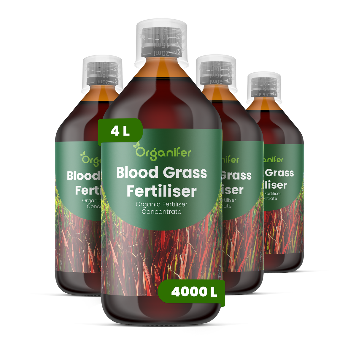 Organifer Blood Grass Liquid Fertiliser - 4x1 liter 8719958004467 1