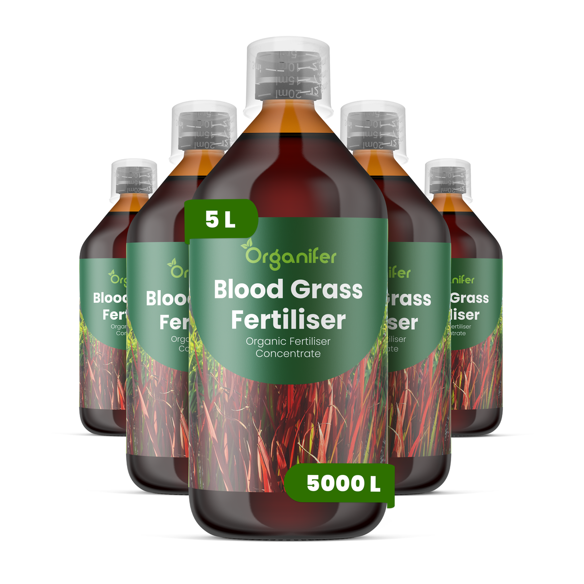 Organifer Blood Grass Liquid Fertiliser - 5x1 liter 8719958004436 1