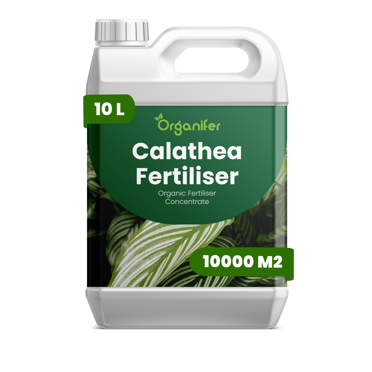 8719958000629 10L Calathea labels