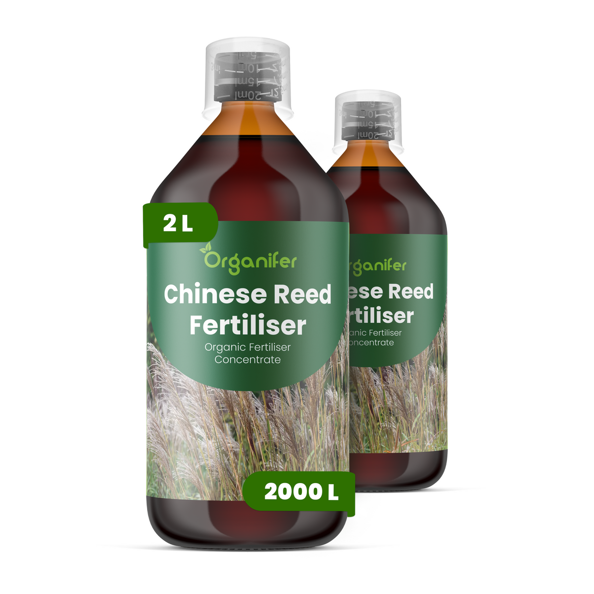 8719958005082 2L Chinese Reed labels