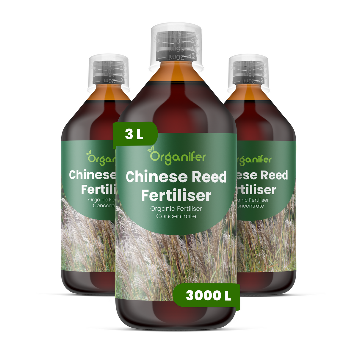 8719958005099 3L Chinese Reed labels