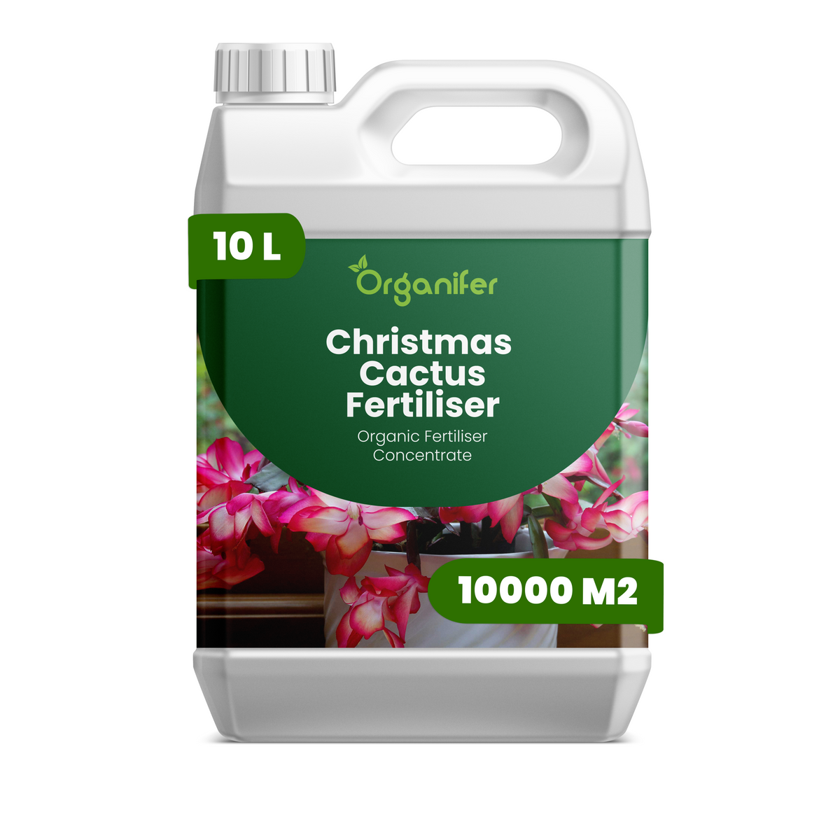 8719958000780 10L Christmas Cactus labels