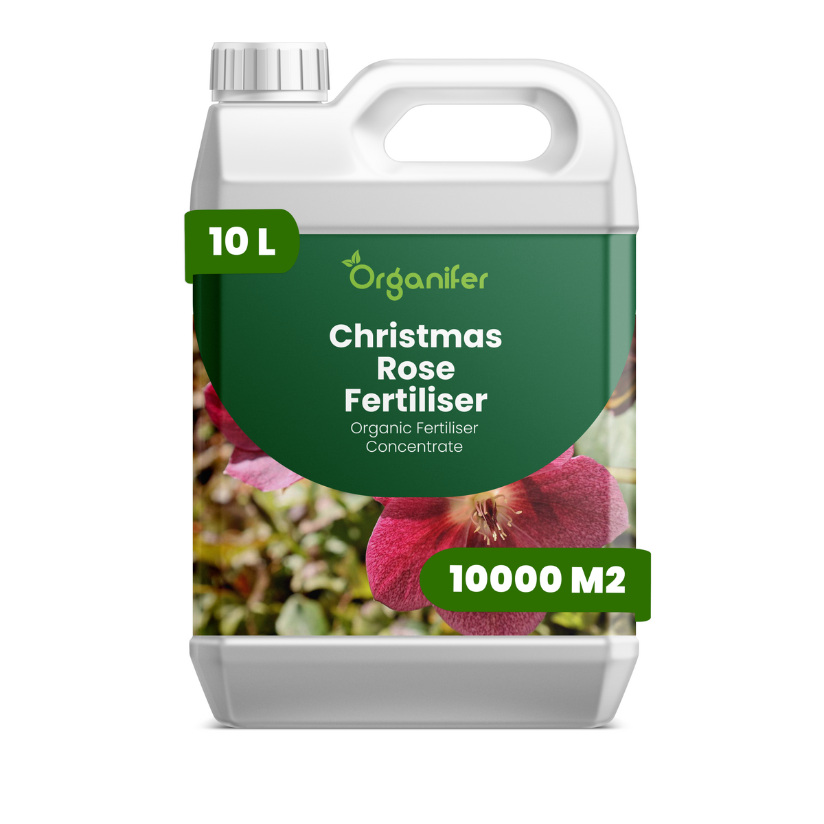 8719958000803 10L christmas rose labels