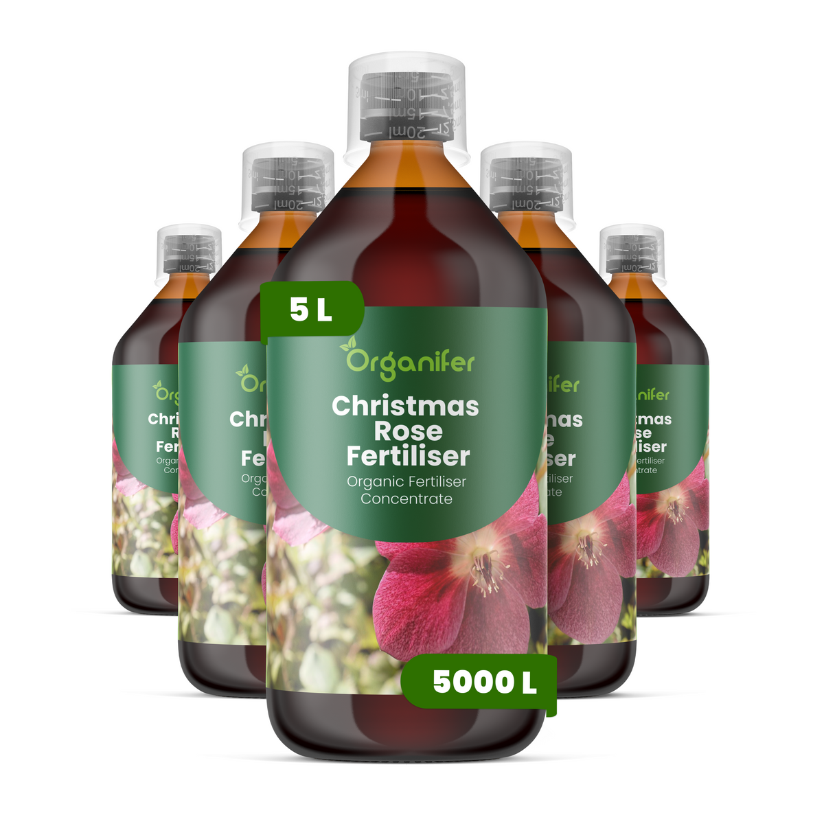 8719958005198 Christmas Rose 5L labels