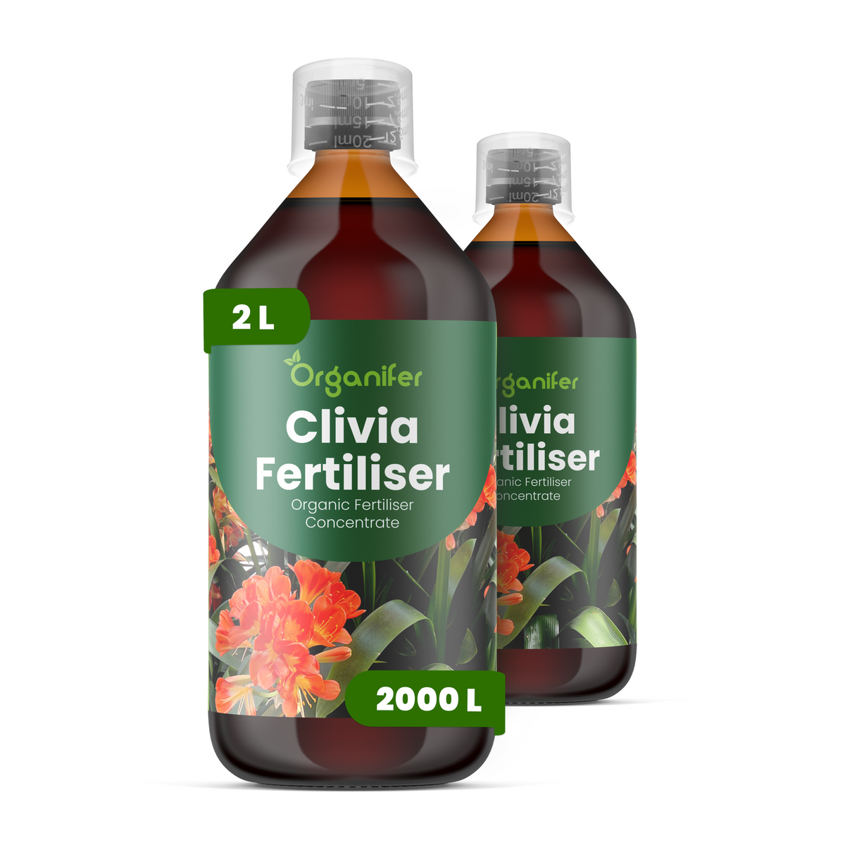 8719958005365 2L Clivia labels