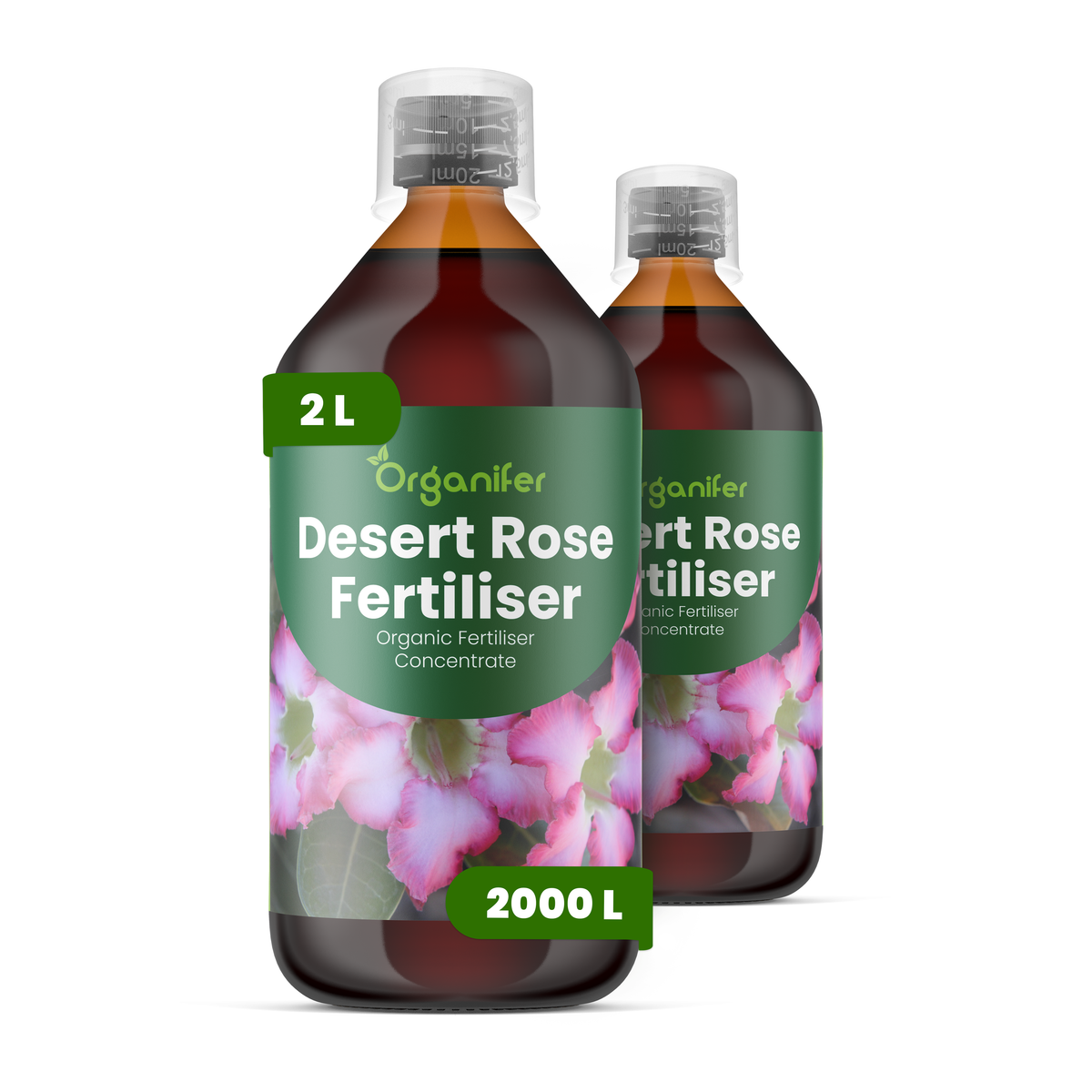 2L_Desert_Rose_labels