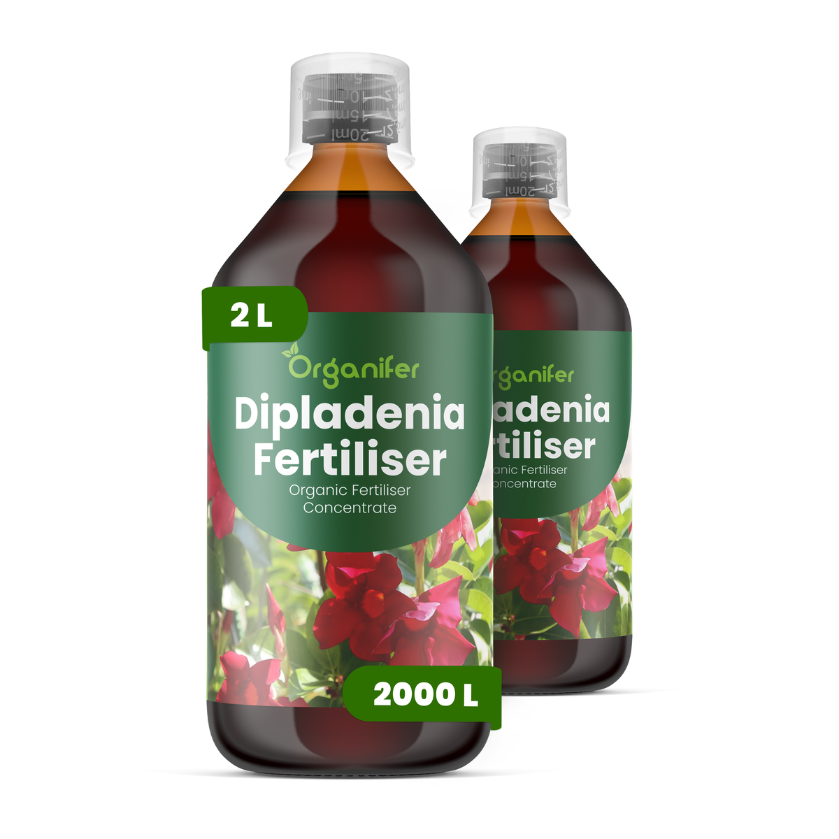 Organifer Dipladenia Liquid Fertiliser - 2x1 liter 8719958005808 1