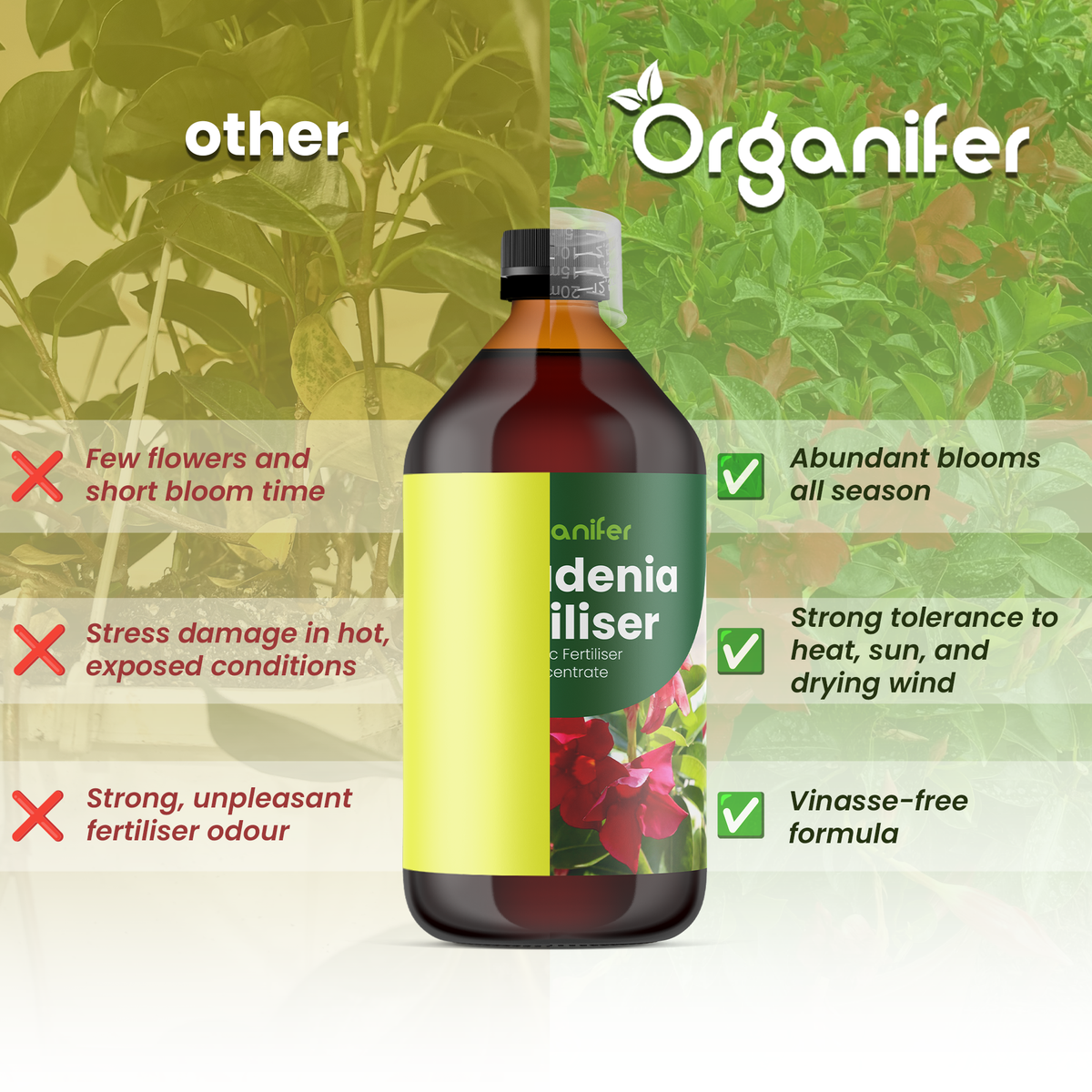 Organifer Dipladenia Liquid Fertiliser - 4x1 liter 8719958005822 3