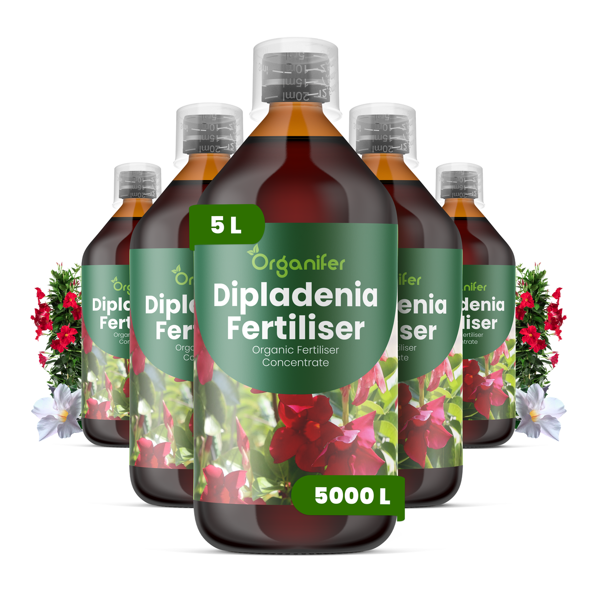 Organifer Dipladenia Liquid Fertiliser - 5x1 liter 8719958005792 1
