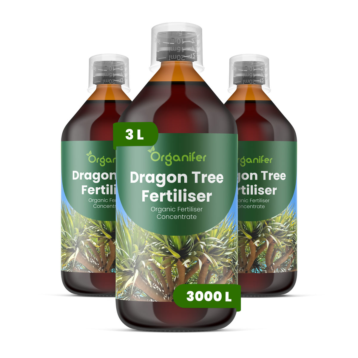 Organifer Dragon Tree Liquid Fertiliser - 3x1 liter 8719958005853 1