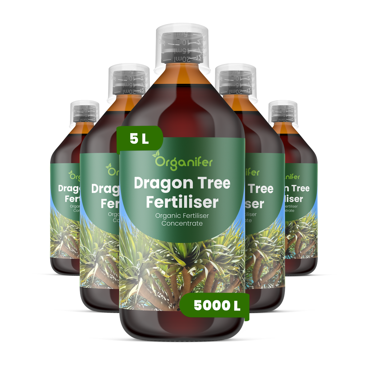 Organifer Dragon Tree Liquid Fertiliser - 5x1 liter 8719958005839 1