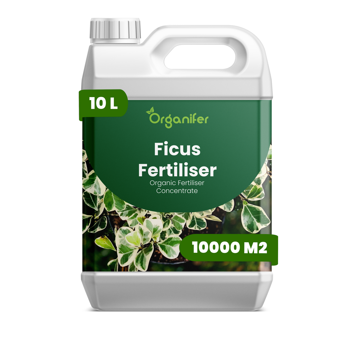 Organifer Ficus Liquid Fertiliser - 10 liter 8719958008793 1