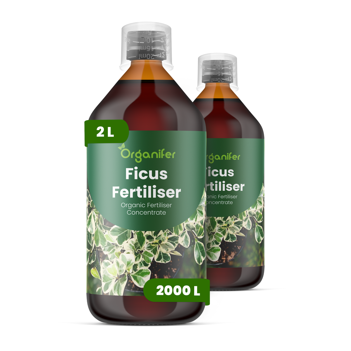 Organifer Ficus Liquid Fertiliser - 2x1 liter 8719958006126 1