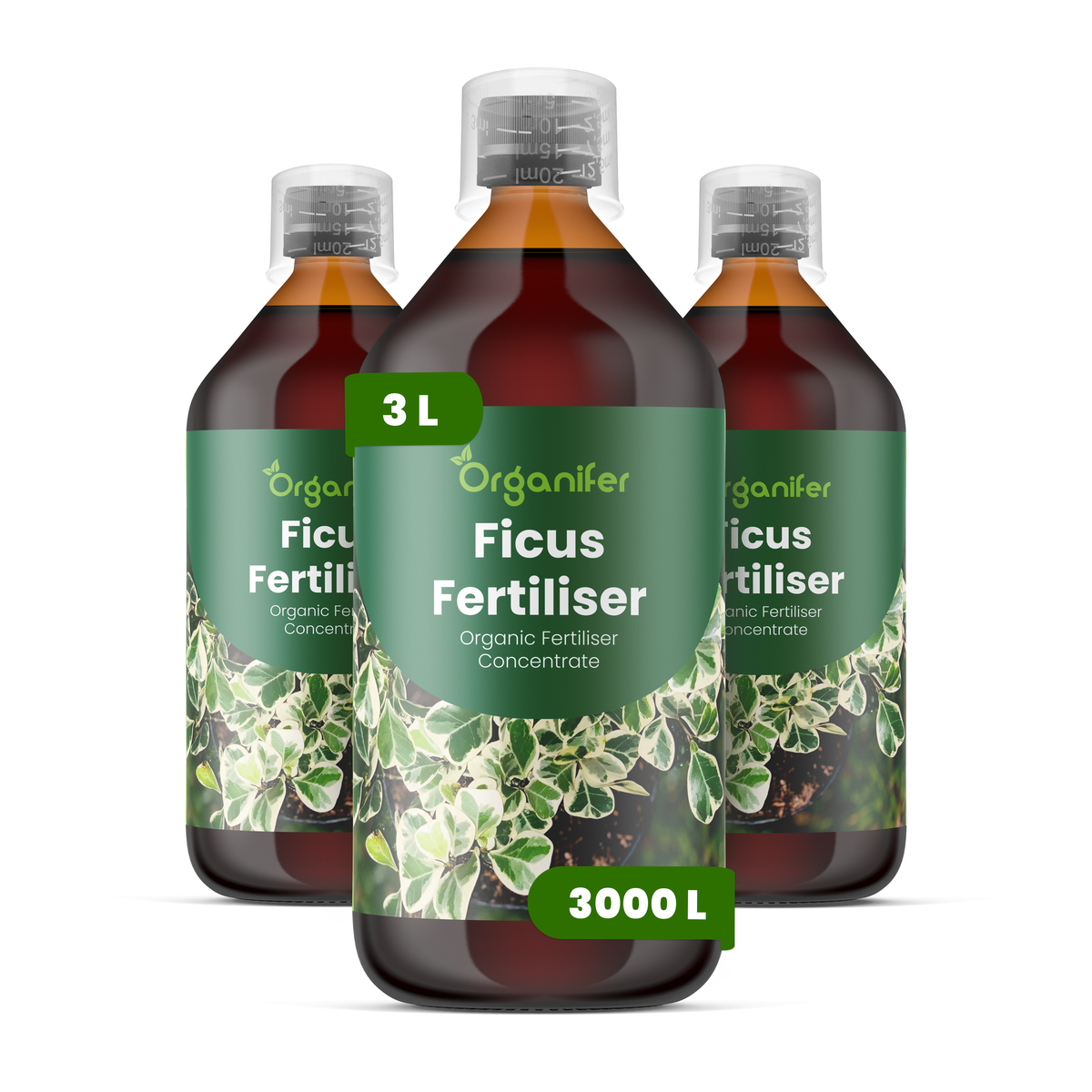 Organifer Ficus Liquid Fertiliser - 3x1 liter 8719958006133 1