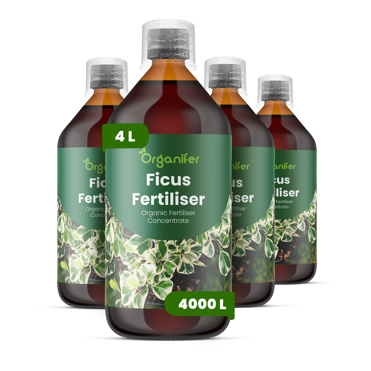 Organifer Ficus Liquid Fertiliser - 4x1 liter 8719958006140 1
