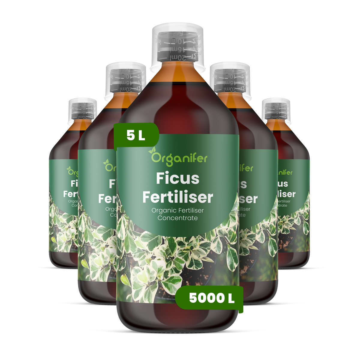 Organifer Ficus Liquid Fertiliser - 5x1 liter 8719958006119 1