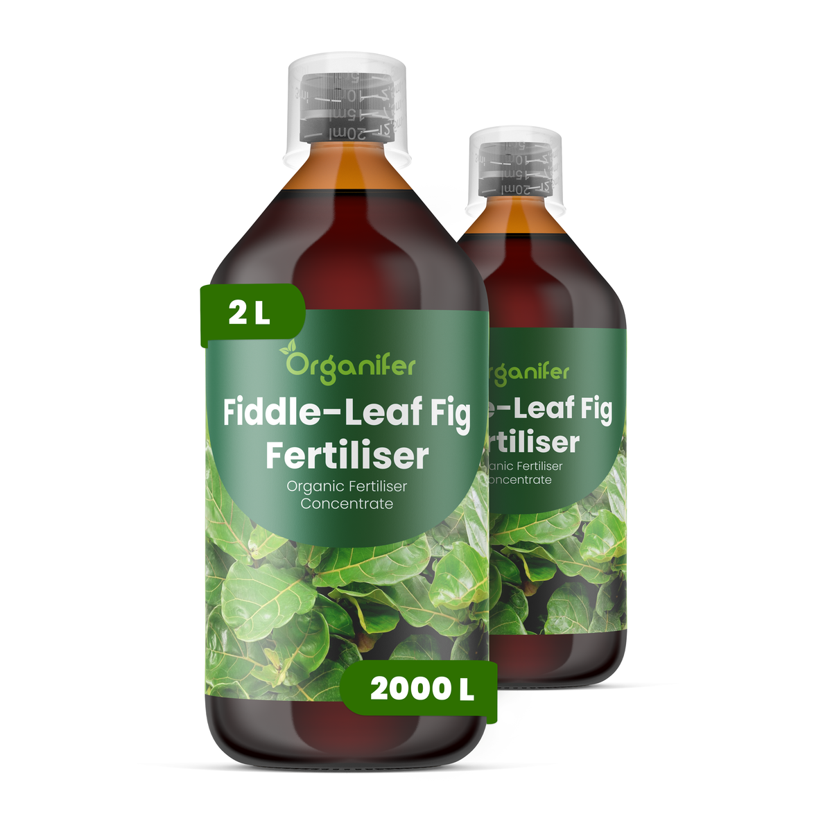 Organifer Fiddle-Leaf Fig Liquid Fertiliser - 2x1 liter 8719958006249 1