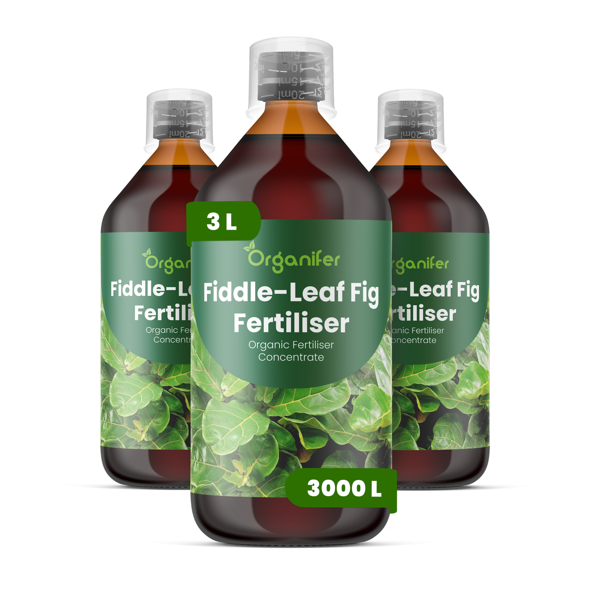 Organifer Fiddle-Leaf Fig Liquid Fertiliser - 3x1 liter 8719958006256 1