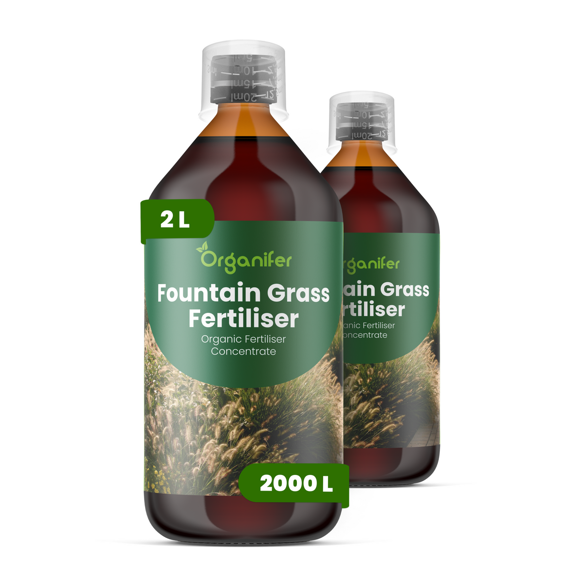 8719958006362 2L Fountain grass labels