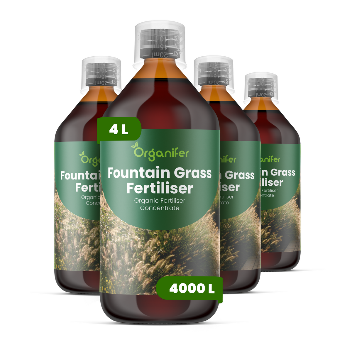 8719958006386 4L Fountain Grass labels