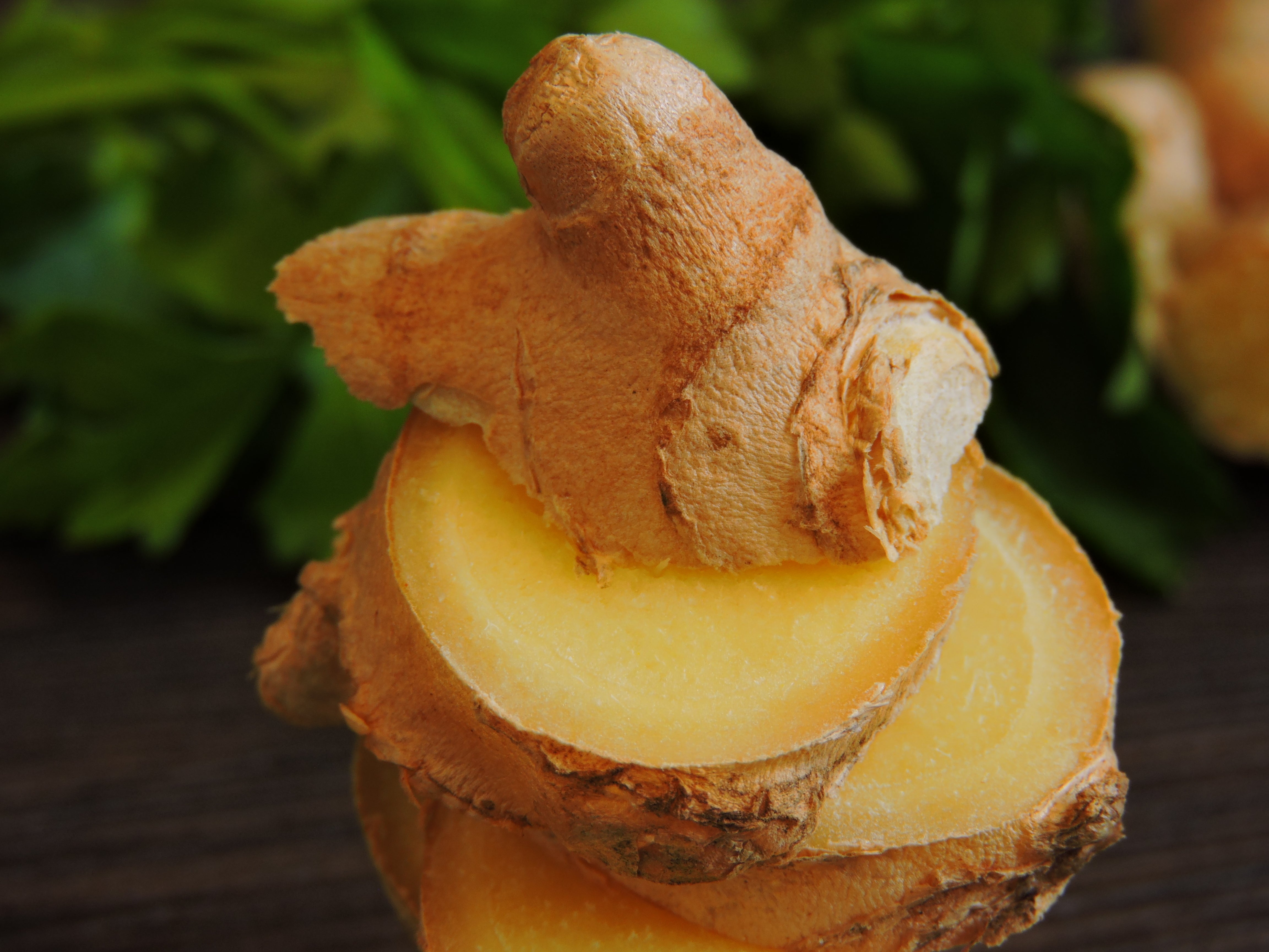 Balanced Growth and Vigorous Shoots