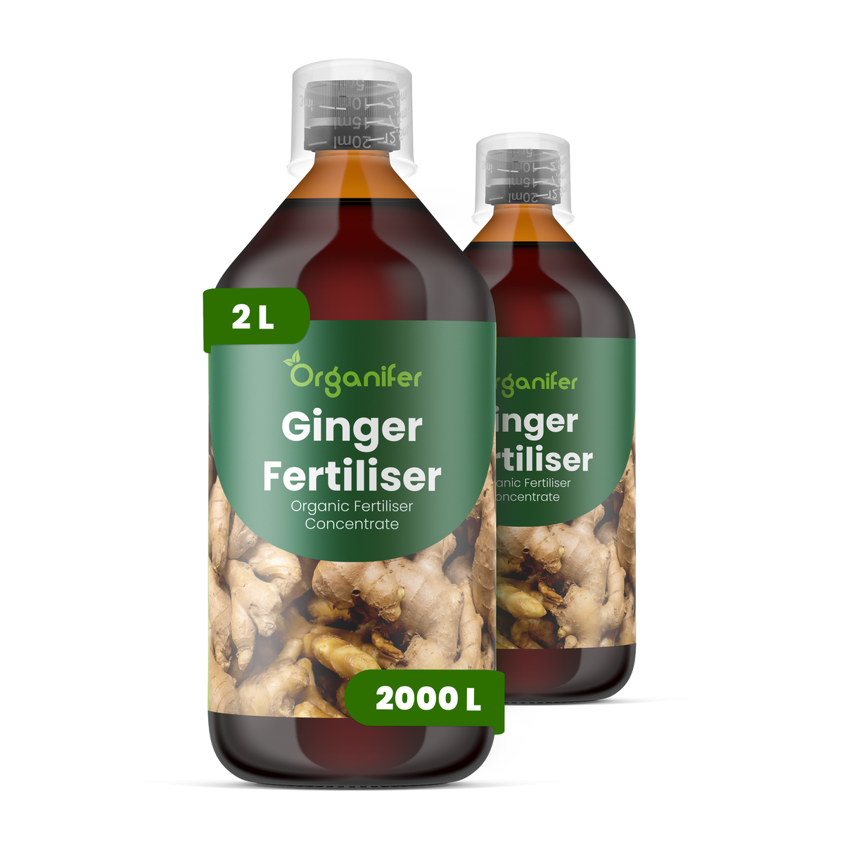Organifer Ginger Liquid Fertiliser - Set 2x1 liter 8719958006645 1