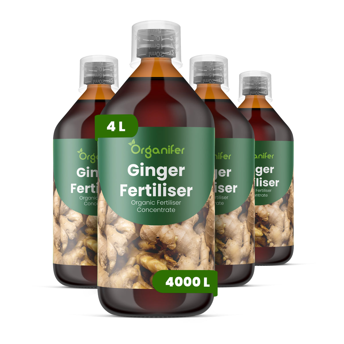 Organifer Ginger Liquid Fertiliser - Set 4x1 liter 8719958006669 1
