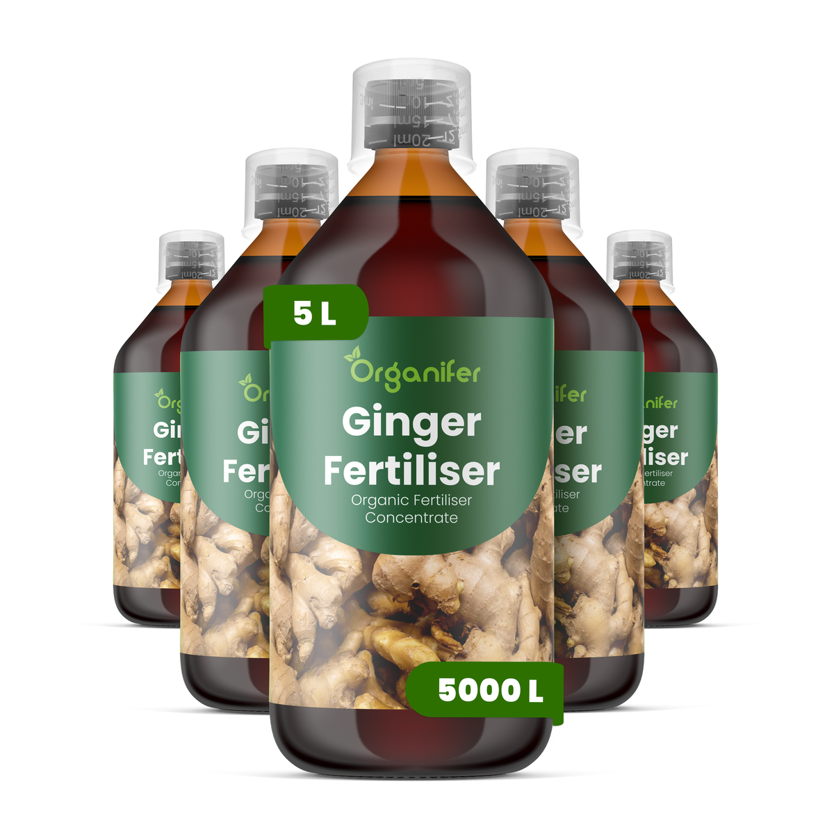 Organifer Ginger Liquid Fertiliser - Set 5x1 liter 8719958006638 1