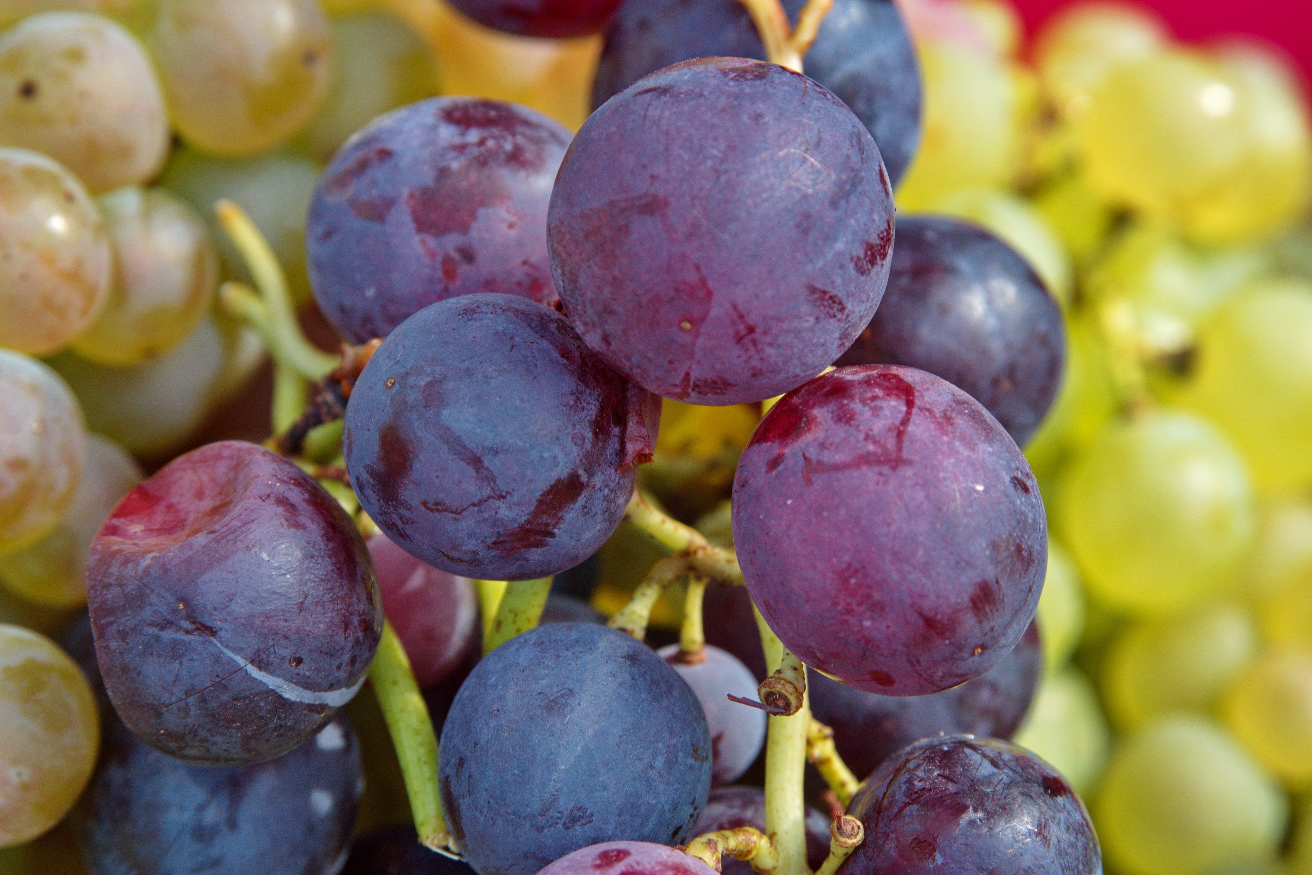 Fuller Clusters and Sweeter Grapes