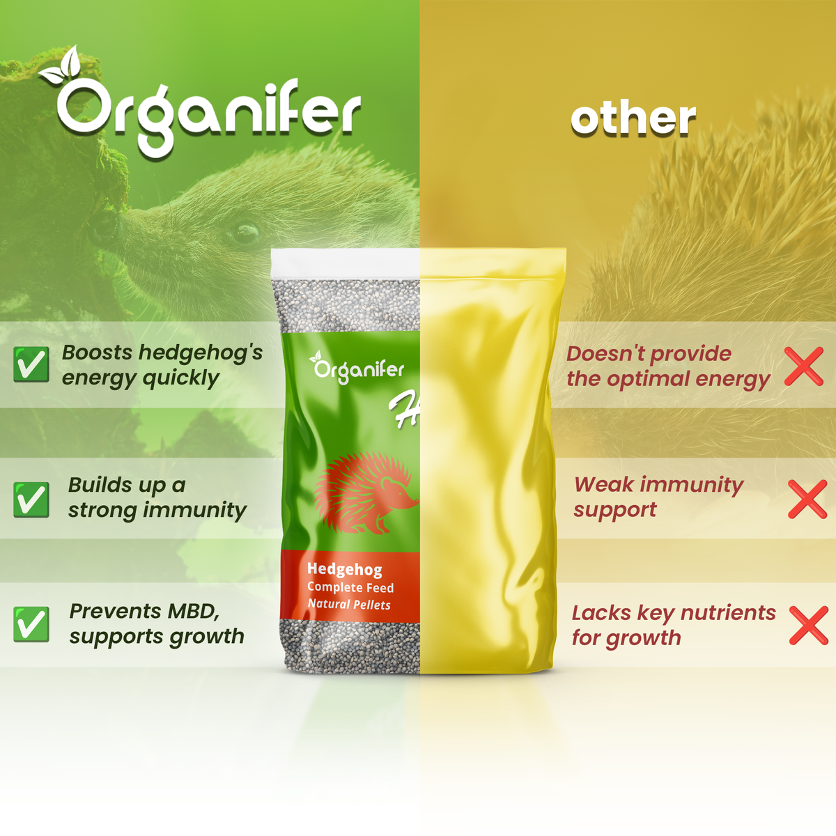 Hedgehog Feed comparison