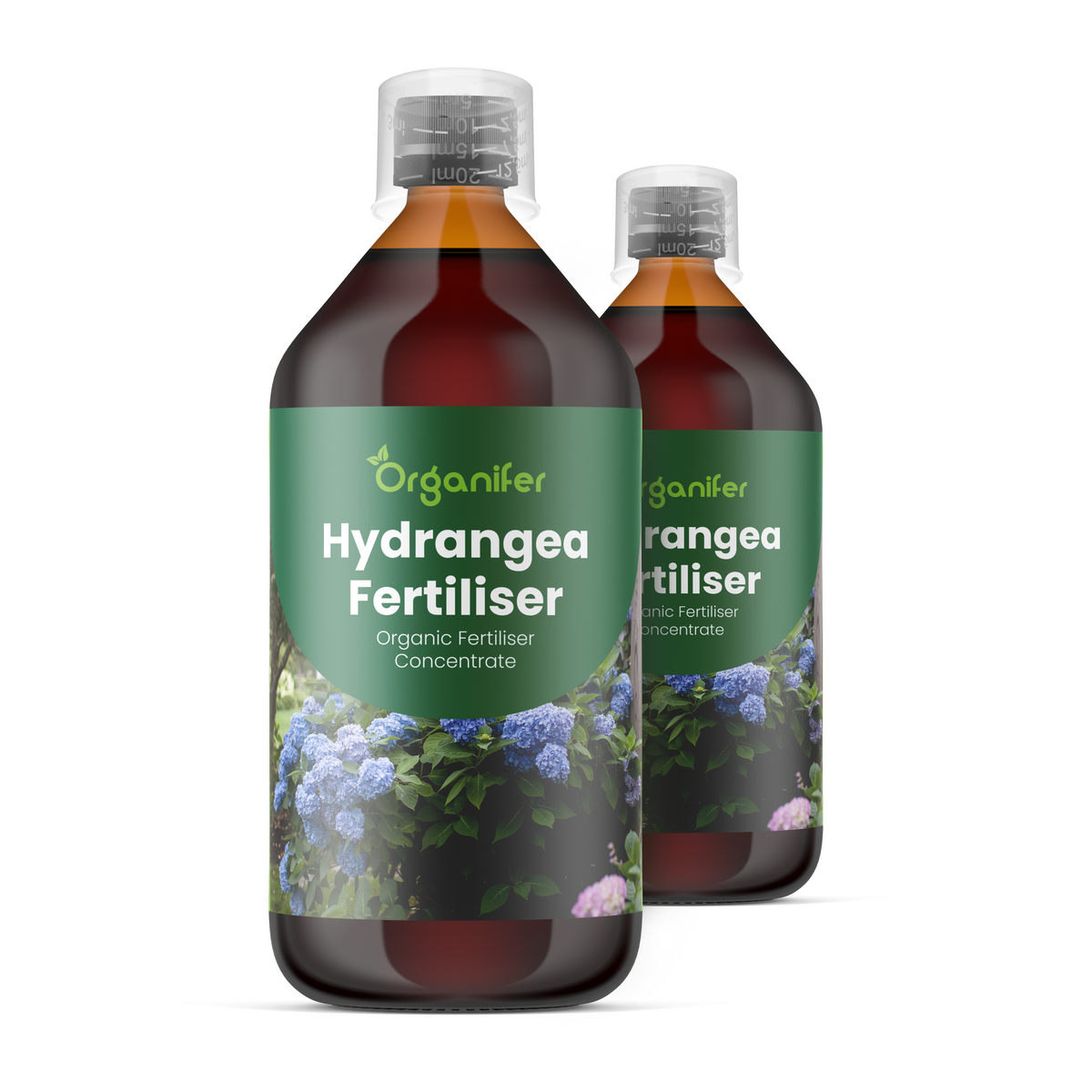 8719958005327 2L Hydrangea