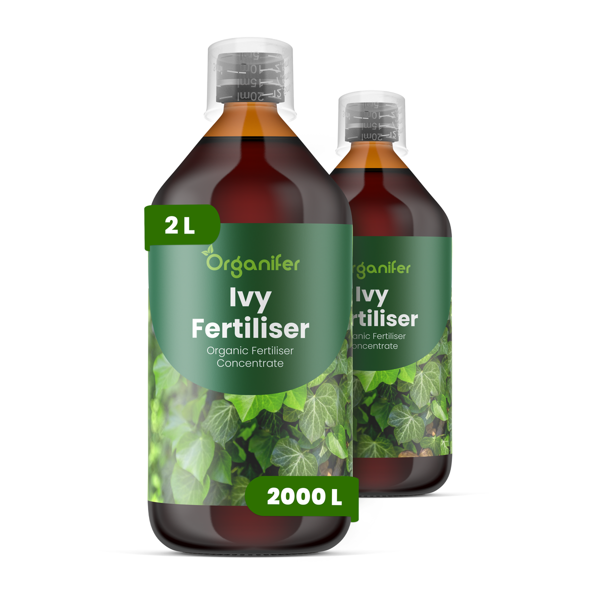 organifer liquid fertiliser Ivy