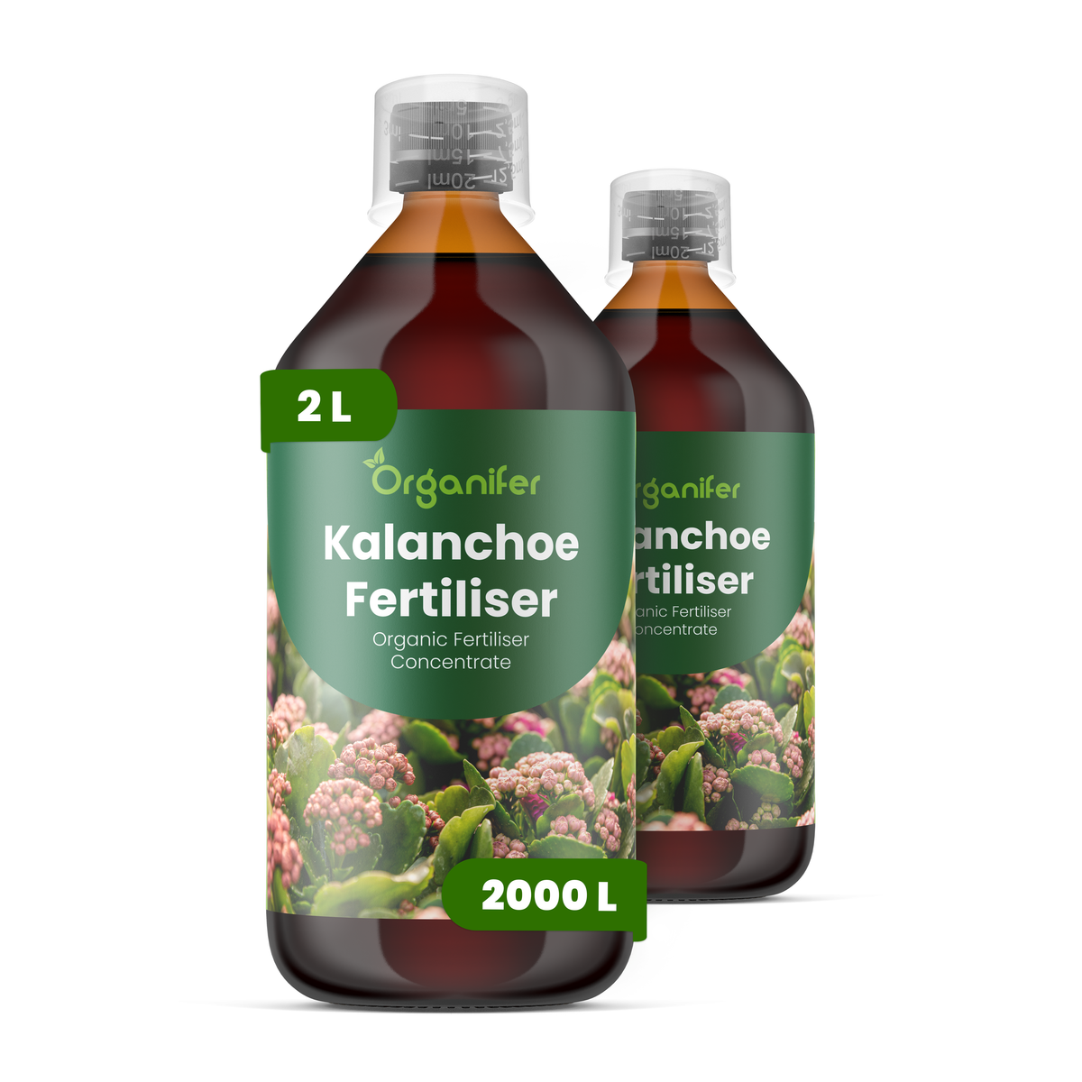 Organifer Kalanchoe Liquid Fertiliser - Set 2x1 liter 8719958007321 1