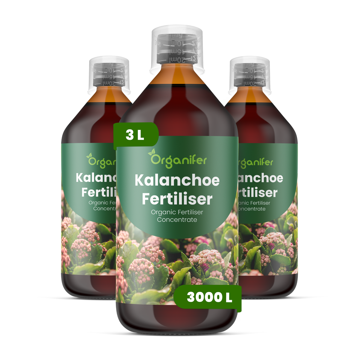 organifer-kalanchoe-liquid-fertiliser-4