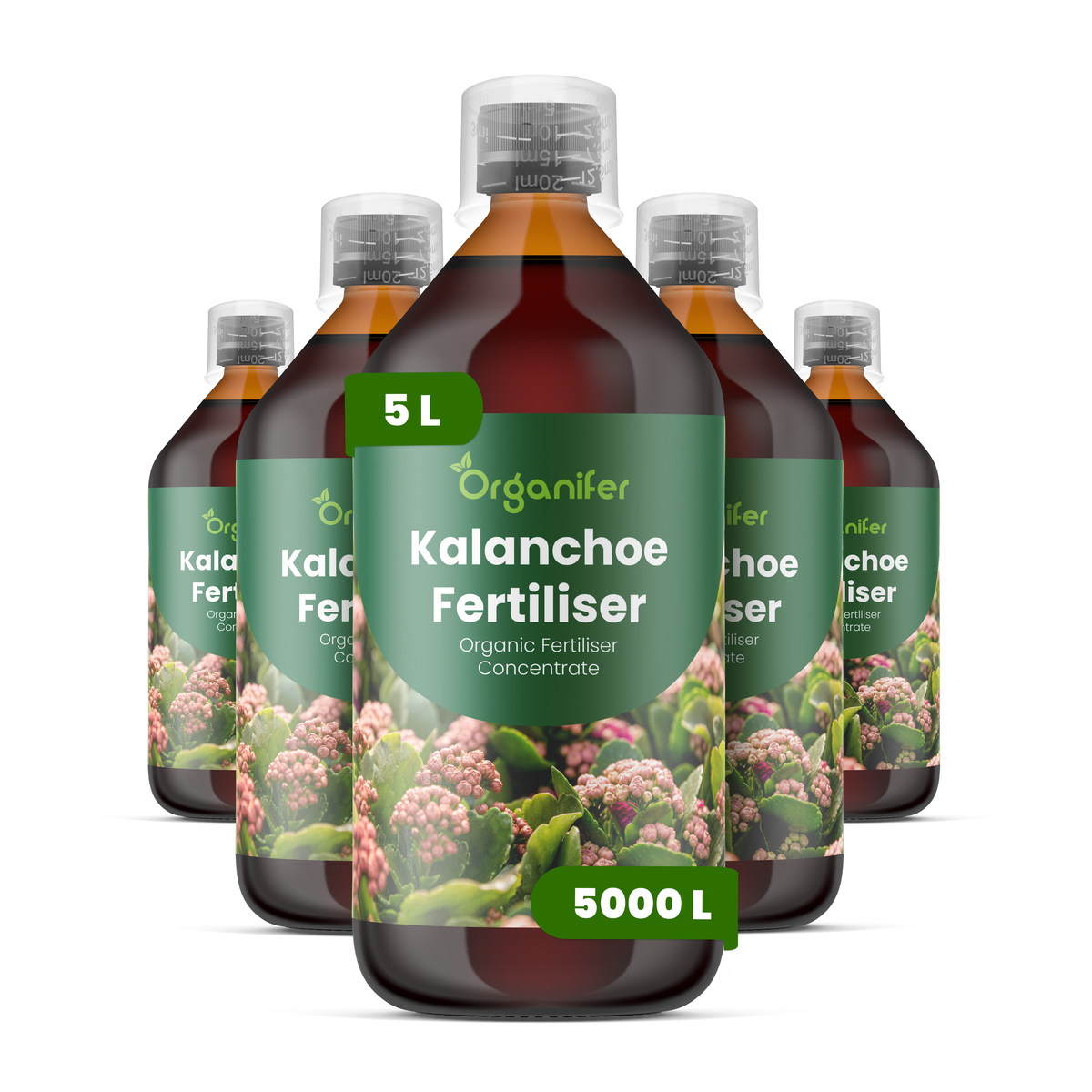 organifer-kalanchoe-liquid-fertiliser