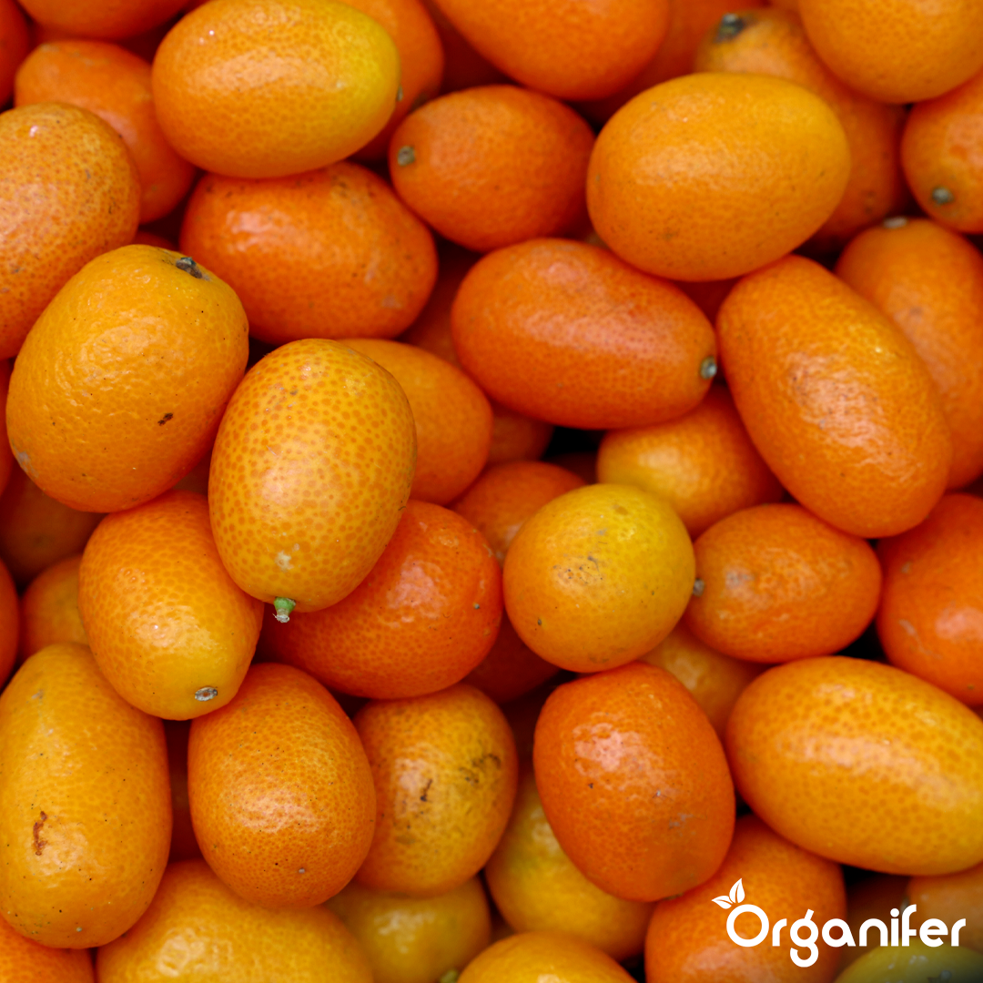 Organifer