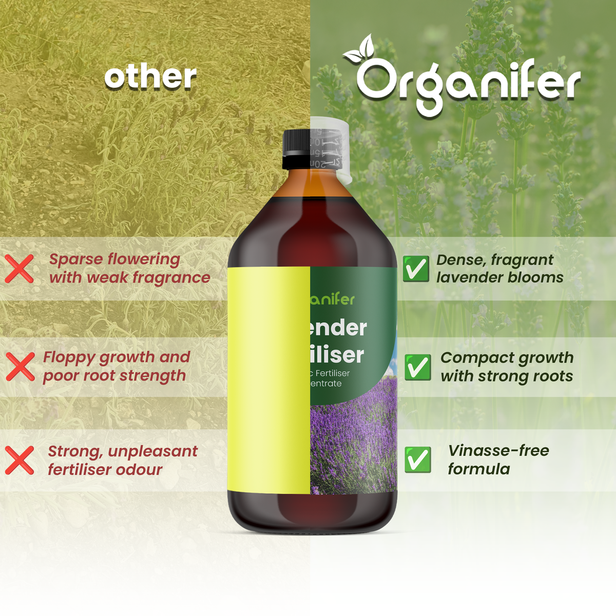 lavender-liquid-fertiliser-lavender_comparison_english