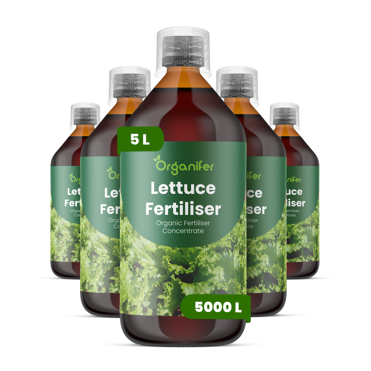 organifer-lettuce-liquid-fertilise