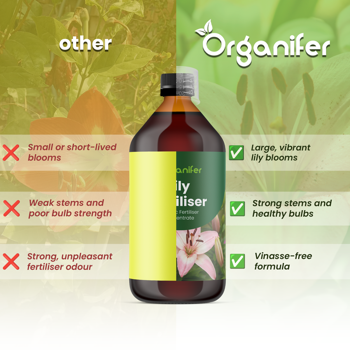 Organifer Lily Liquid Fertiliser - 10 liters 8719958011472 3