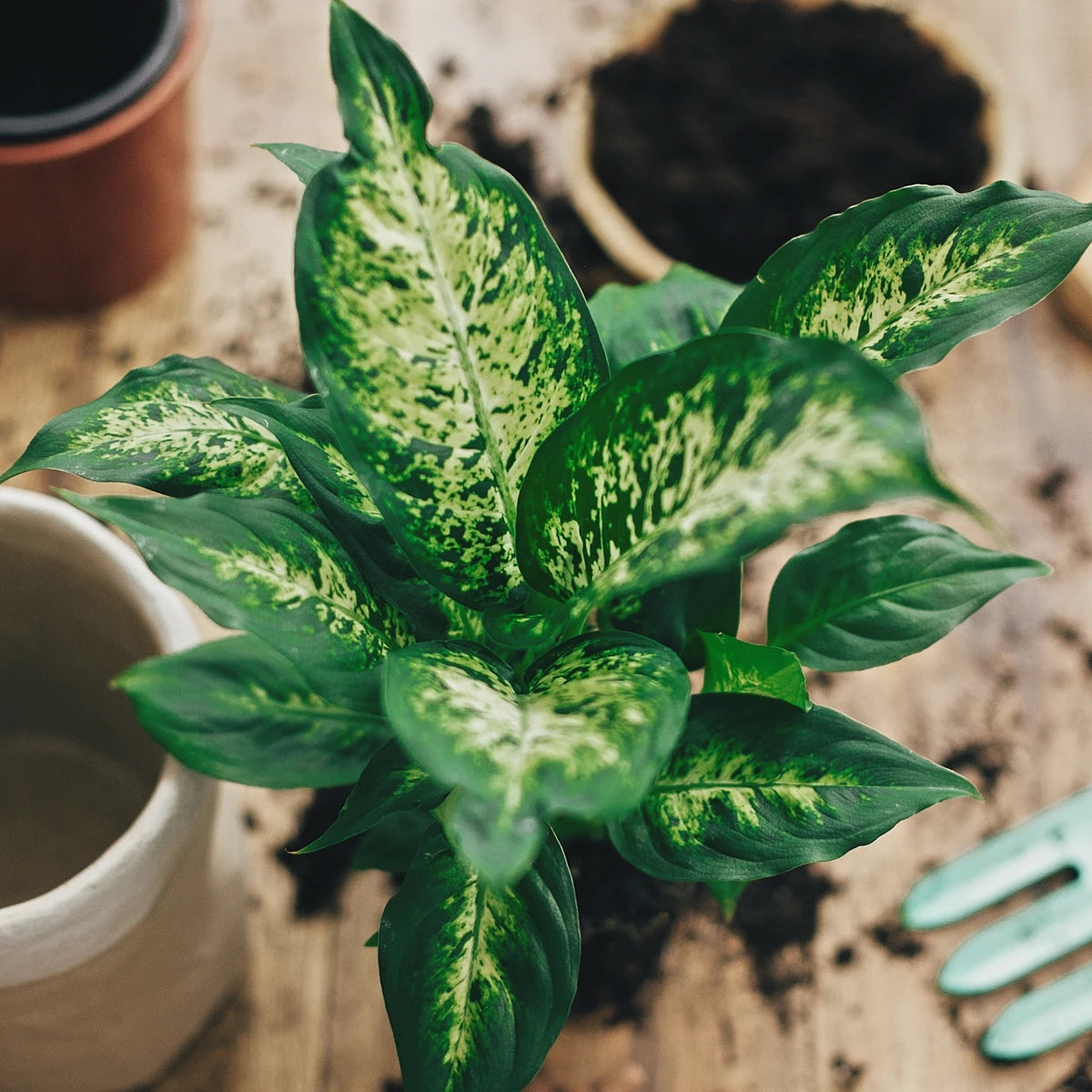 Improved Resilience in Indoor Conditions