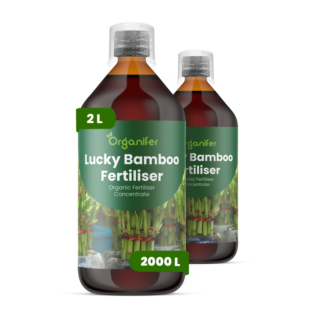organifer-lucky-bamboo-liquid-fertiliser