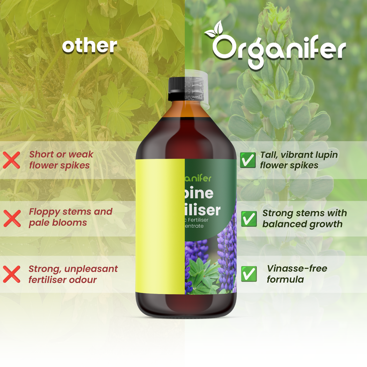 organifer-lupine-liquid-fertiliser