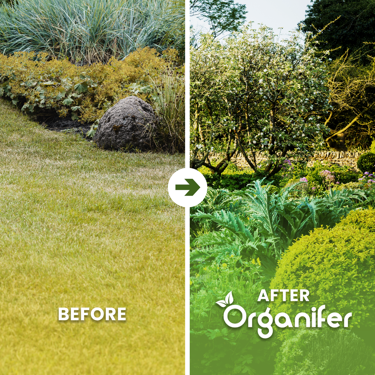 Meelworm Frass Before - after