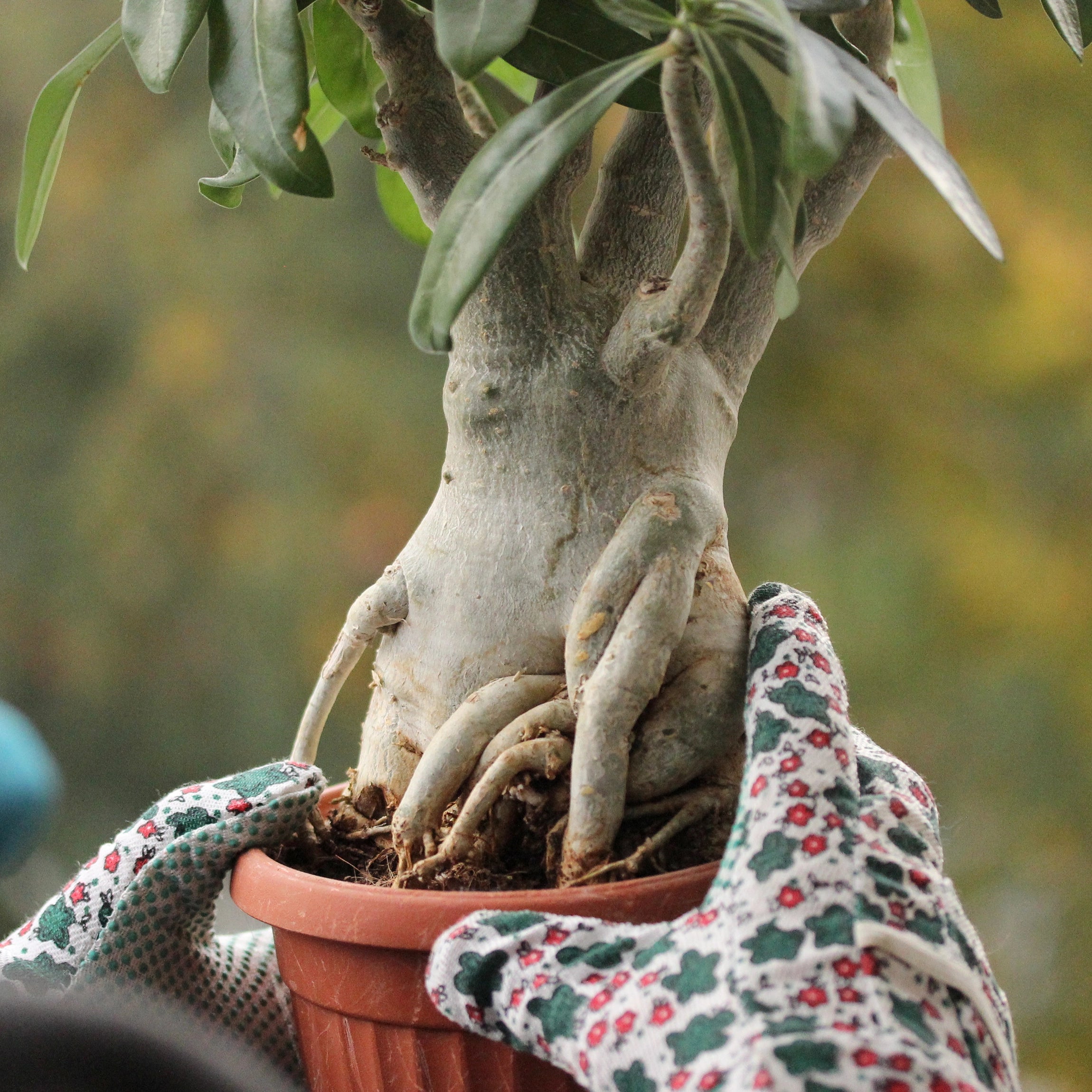 Supports Strong, Upright Growth