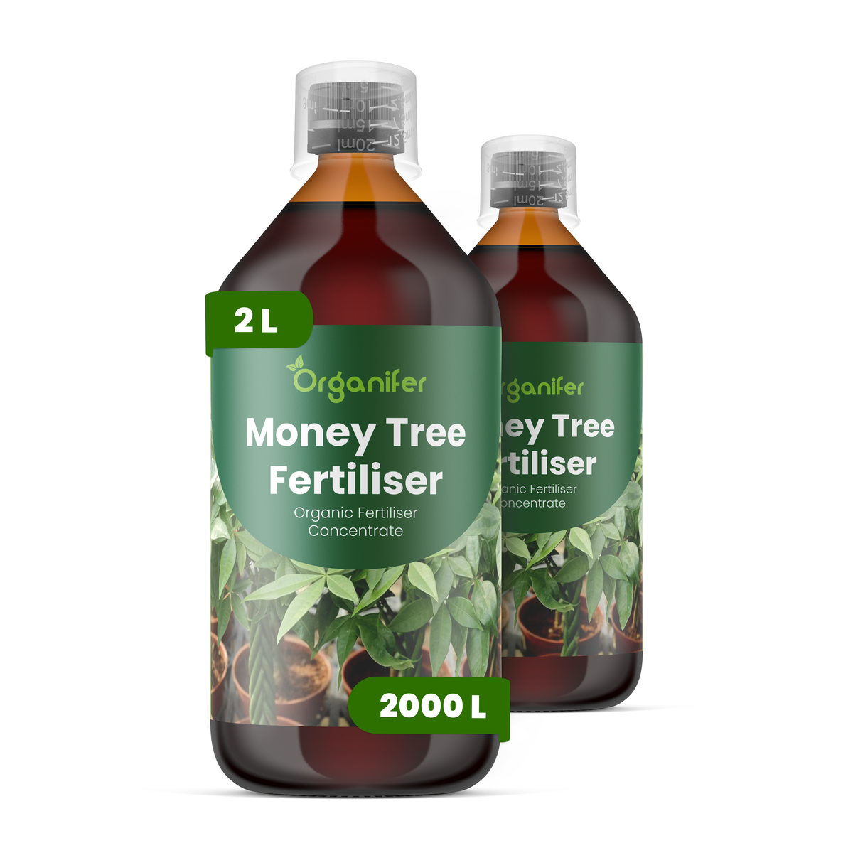 organifer-money-tree-liquid-fertiliser
