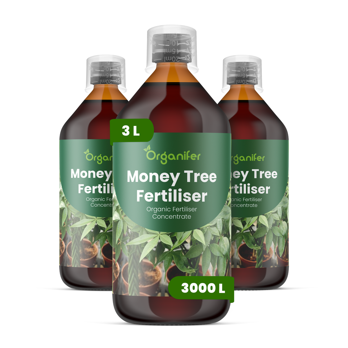 Organifer Money Tree Liquid Fertiliser - Set 3x1 liter 8719958008298 1
