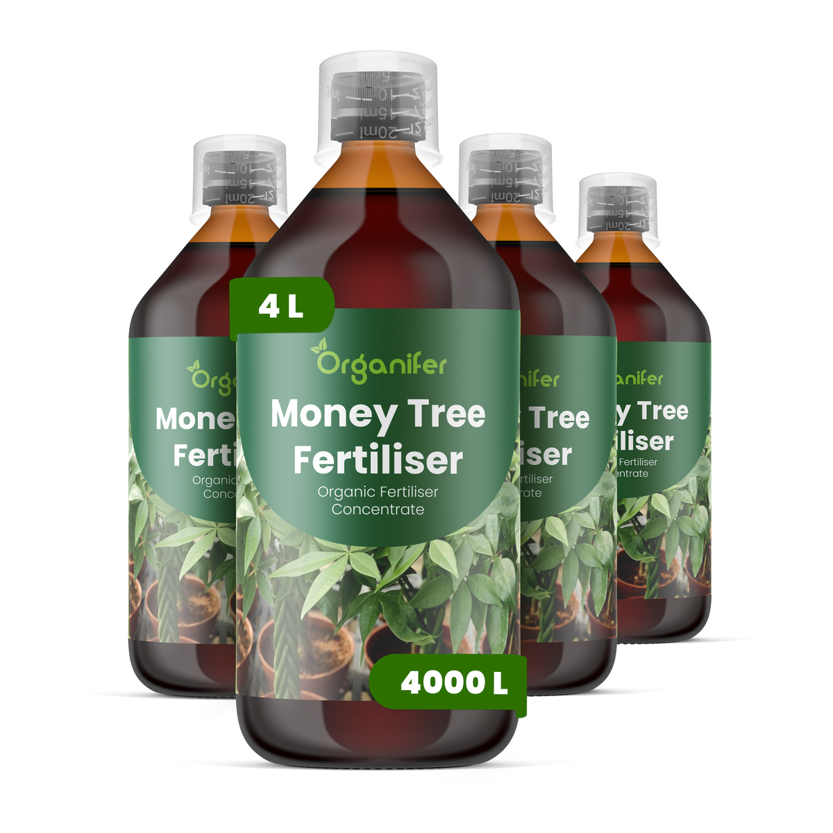 organifer-money-tree-liquid-fertiliser