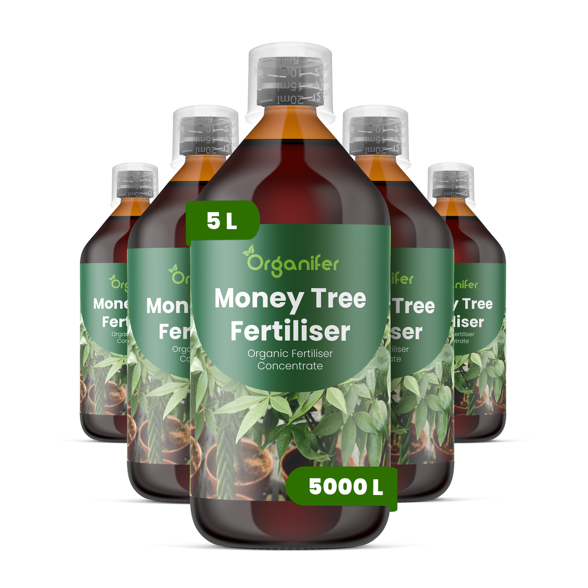organifer-mone-tree-liquid-fertiliser